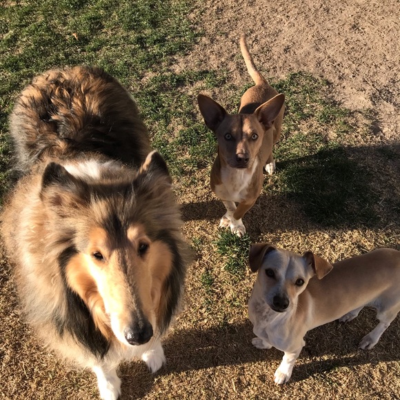 Meet your Posher, Carolyn - Picture 2 of 13